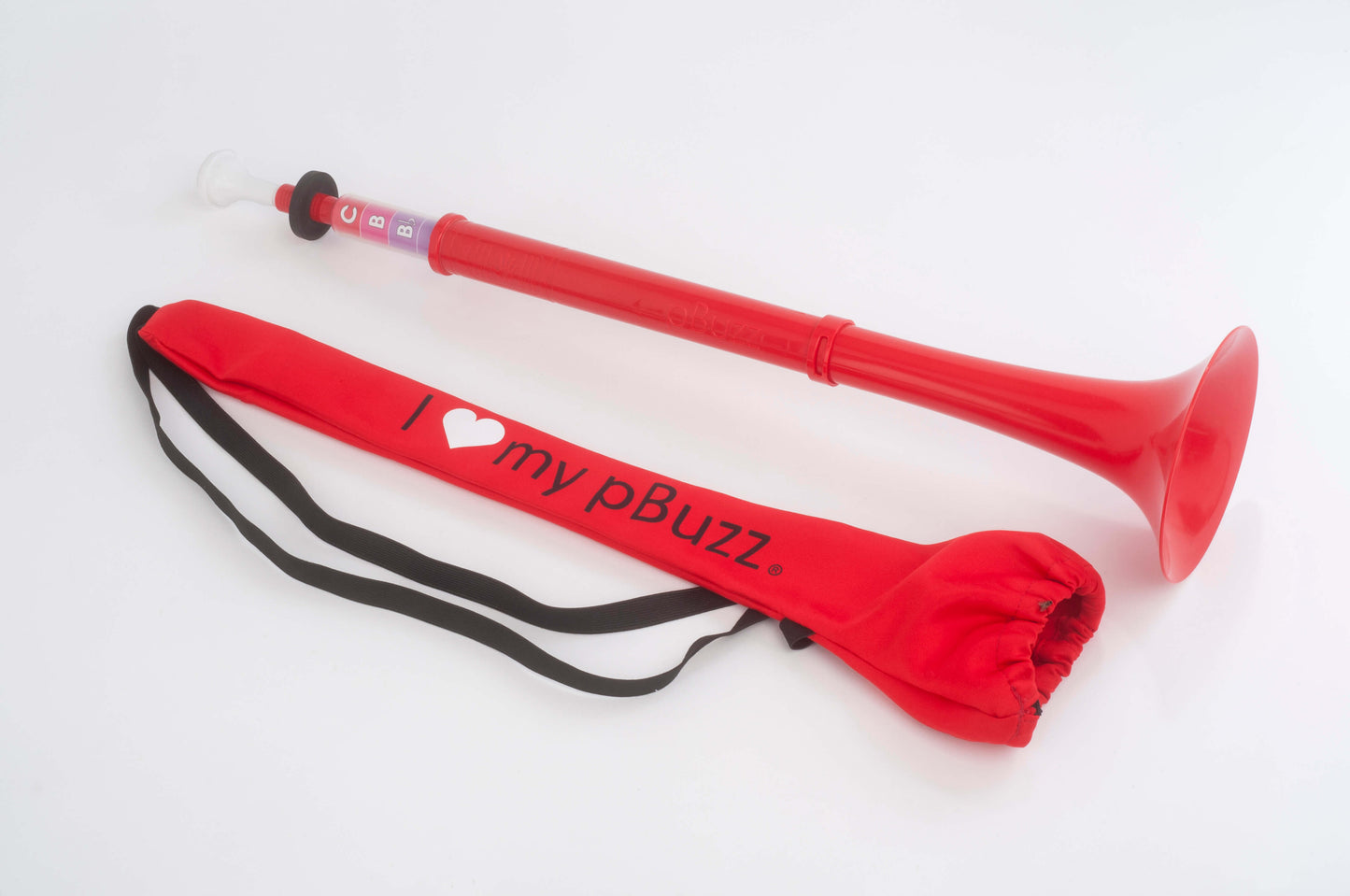 pBuzz Carrying Case