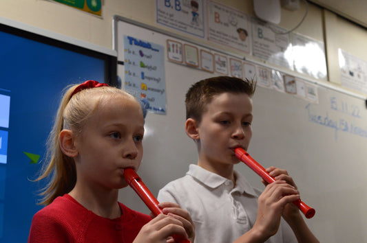 What Is the Best Recorder for Beginners?