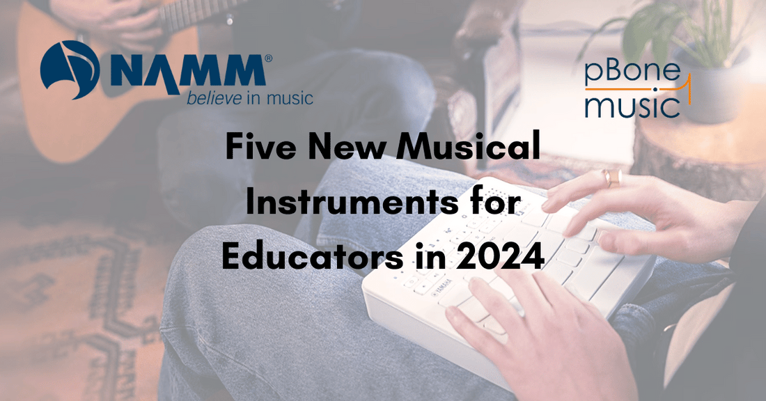 What are the Best Instruments for Schools in 2024?