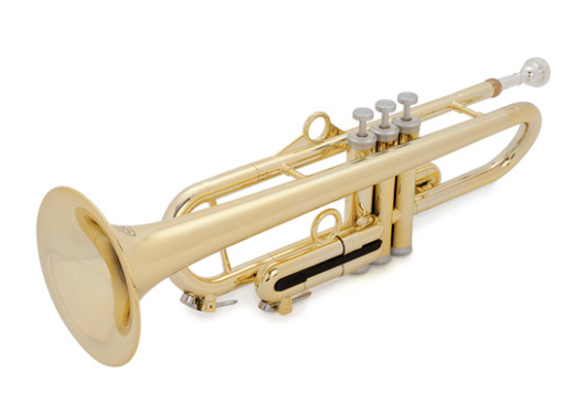 Mouthpiece Online Reviews the hyTech