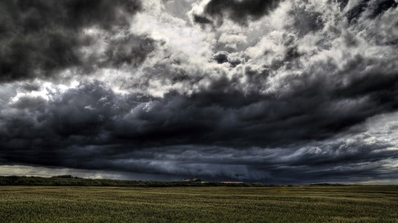 Weathering the storm