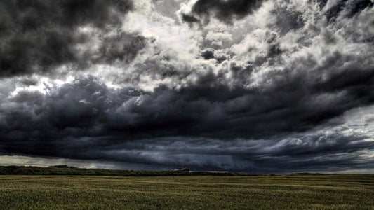 Weathering the storm