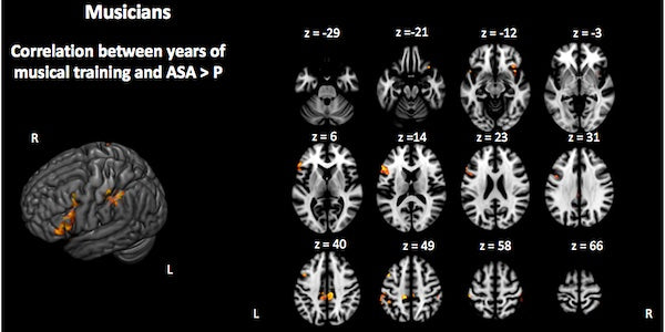 Musical Instrument Learning Improves Memory and Attention