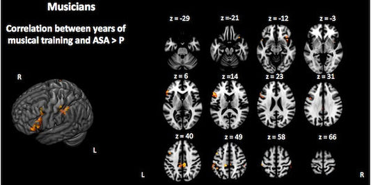Musical Instrument Learning Improves Memory and Attention