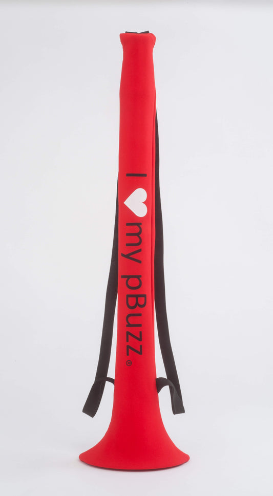 pBuzz Carrying Case