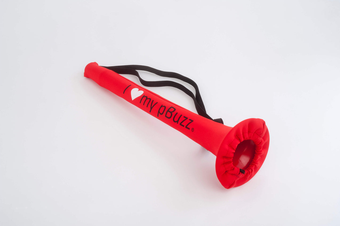 pBuzz Carrying Case