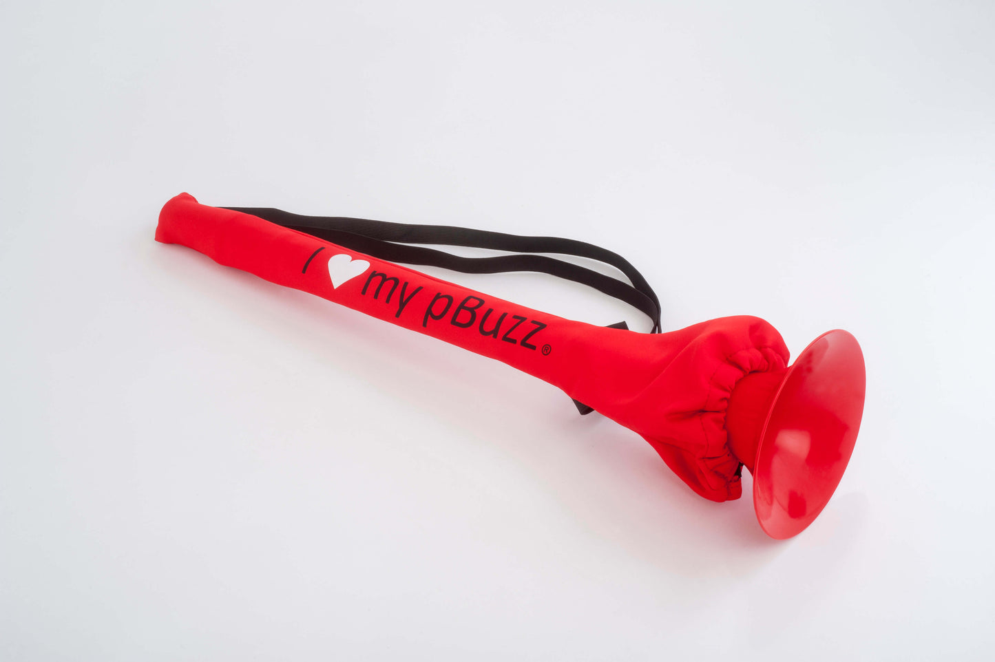 pBuzz Carrying Case